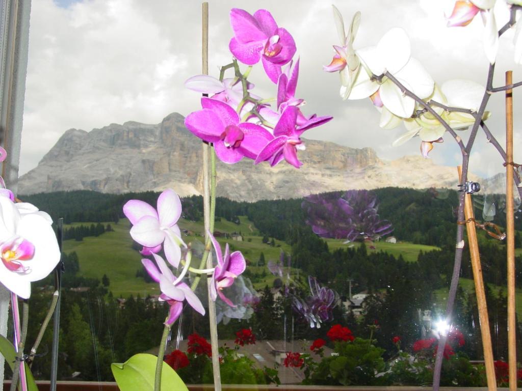 Ciasa Rudiferia Appartamenti In Alta Badia Exterior photo